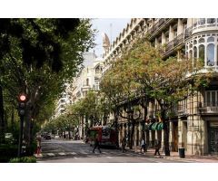 Grupo Alain presenta local comercial en Pla del Remei 