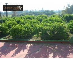 CHALET EN MATOLA