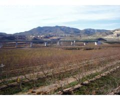 Finca rustica en Venta en Novelda, Alicante