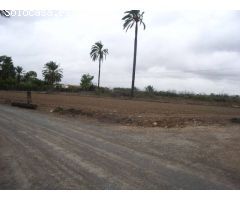 Casa de campo en Venta en Elche pedanias, Alicante
