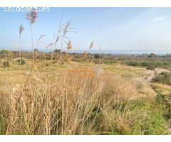 SE VENDE CASITA DE 65 M2 EN PARCELA DE 9000 M2, PARTIDA CACHAPETS !!!!!!
