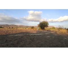 SE VENDE PARCELA EN PARTIDA ALCANA EN ASPE !!!!!!!!!!