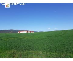 Inmobiliaria Telletxe vende terreno industrial en la Puebla de Arganzón a 5 minutos de Vitoria-Gazte