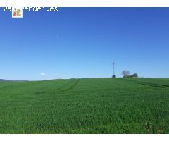 Inmobiliaria Telletxe vende terreno industrial en la Puebla de Arganzón a 5 minutos de Vitoria-Gazte