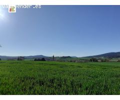 Inmobiliaria Telletxe vende terreno industrial en la Puebla de Arganzón a 5 minutos de Vitoria-Gazte