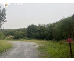 Terreno amplio de 65.000 m2 es en su gran mayoria monte.
