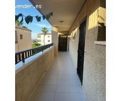 Apartamento 1 dormitorio