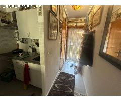 Apartamento 1 dormitorio