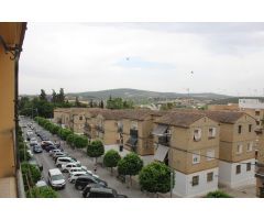 MAGNIFICA VIVIENDA EN AVD MIGUEL COSANO