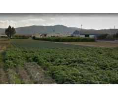 SE VENDE PARCELA RUSTICA JUNTO VEREDA MERANCHO, MONTEAGUDO