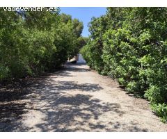 Finca Rustica – Espacio, Exclusividad y Alta Rentabilidad