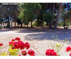 Finca Rustica – Espacio, Exclusividad y Alta Rentabilidad