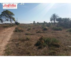SE VENDE PARCELA EN EL CENTRO DE MATOLA