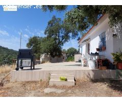 Magnifica Finca Rustica en La Alcornocosa