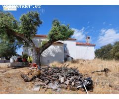 Magnifica Finca Rustica en La Alcornocosa