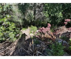 Terreno en Venta en Valles Altos, Sant Pere de Ribes