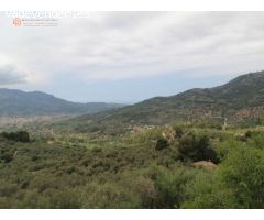 Fantástica Finca Rustica en el Pueblo de Biniaraix