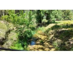 Finca en Venta en Siles, Jaén