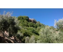 Finca en Venta en Villacarrillo, Jaén