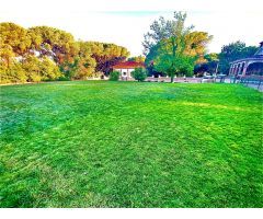 CHALET FINCA RUSTICA CON 55.000M2 DE PARCELA EN ZONA LOS MORALES ( CORDOBA )