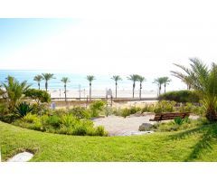 PLAYA MUCHAVISTA