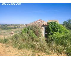 TERRENO CON CASA EN PONTÓN- 28.000 M2 CON CASA DE 100M, PLACAS SOLARES Y POZO PROPIO.