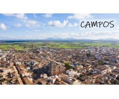 Encantadora y Amplia Casa Reformada en el Centro del Pueblo