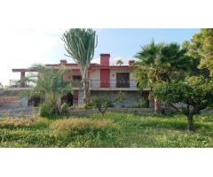 SE VENDE CHALET EN UNA DE LAS MEJORES ZONAS DE ELCHE