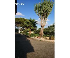 SE VENDE CHALET EN UNA DE LAS MEJORES ZONAS DE ELCHE