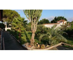 SE VENDE CHALET EN UNA DE LAS MEJORES ZONAS DE ELCHE