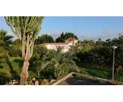 SE VENDE CHALET EN UNA DE LAS MEJORES ZONAS DE ELCHE