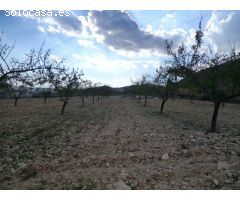 Terreno rural en Venta en Hondón de las Nieves, Alicante
