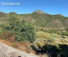 Parcela en Urb. Montemayor alto Benahavis