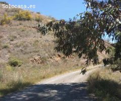 Finca  374,76 HA  en Málaga