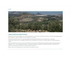 Finca en Venta en La Guardia de Jaén, Jaén