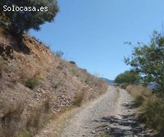 Finca  374,76 HA  en Málaga