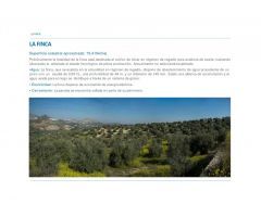 Finca en Venta en La Guardia de Jaén, Jaén