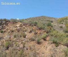 Finca  374,76 HA  en Málaga