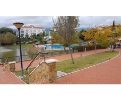 Pisos, garajes, trasteros, locales, oficina y chalet adosado en venta en Camino Cuesta Palmar, 29130