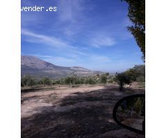Finca en Venta en Bedmar Y Garciez, Jaén