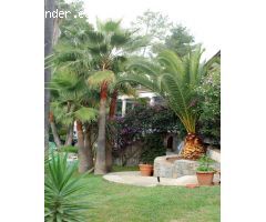 CHALET EN SON VIDA CON PISCINA