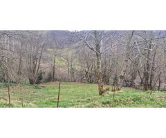Se vende Chalet Rústico en medio de la natraleza