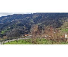 Se vende Chalet Rústico en medio de la natraleza