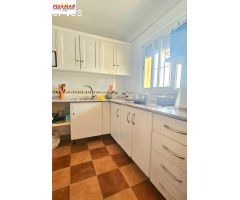 FINCA RÚTICA CON VIVIENDA E INVERNADERO    ZONA PIONAR DE LA VILLA