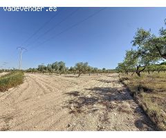 Oportunidad Única en el Puerto de Biar – Finca Rústica de 31.500 m² con Olivos en Producción