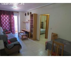 ALQUILER PARA TODO EL AÑO TORREVIEJA