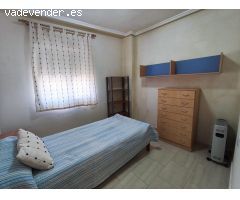 ALQUILER PARA TODO EL AÑO TORREVIEJA