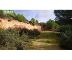 ESTUPENDA FINCA EN ESPIEL( ¡ POR SÓLO 40.000! €).