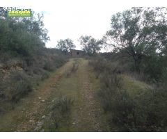 ESTUPENDA FINCA EN ESPIEL( ¡ POR SÓLO 40.000! €).