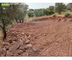 Se vende terreno rústico en Torreblanca